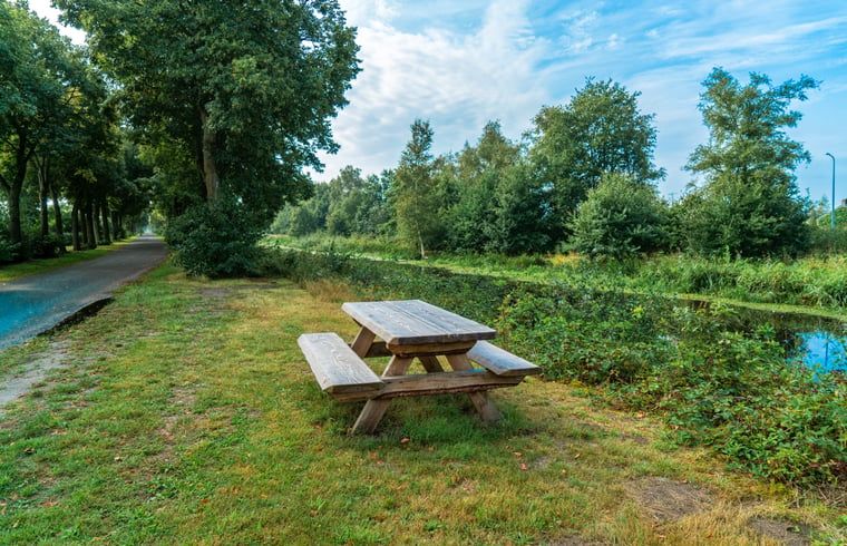 Landschaftlich reizvoller Wanderweg in der Naehe des Ferienhauses in Zwinderen, ideal fuer Wanderungen in der Natur in Drenthe.