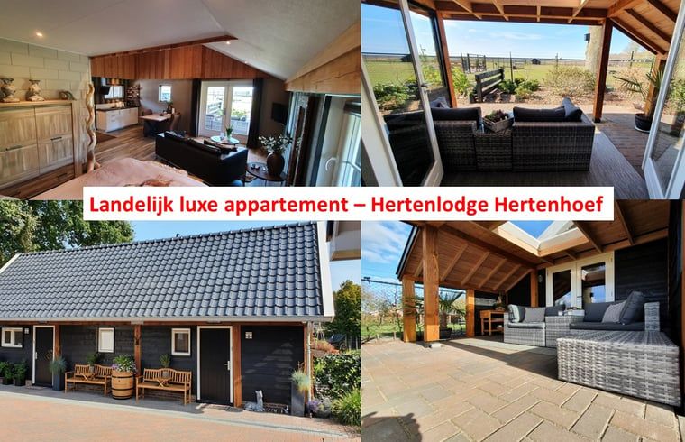 Vakantiehuisje in Fluitenberg met luxe veranda en uitzicht op Drentse natuur in Zuidwest Drenthe.