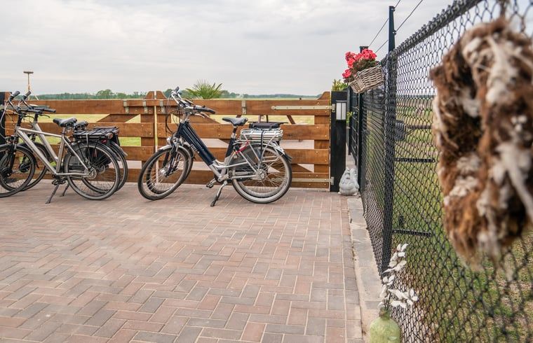 Verblijf 200106 - Vakantiewoning Zuidwest Drenthe - Vakantiehuisje in Fluitenberg