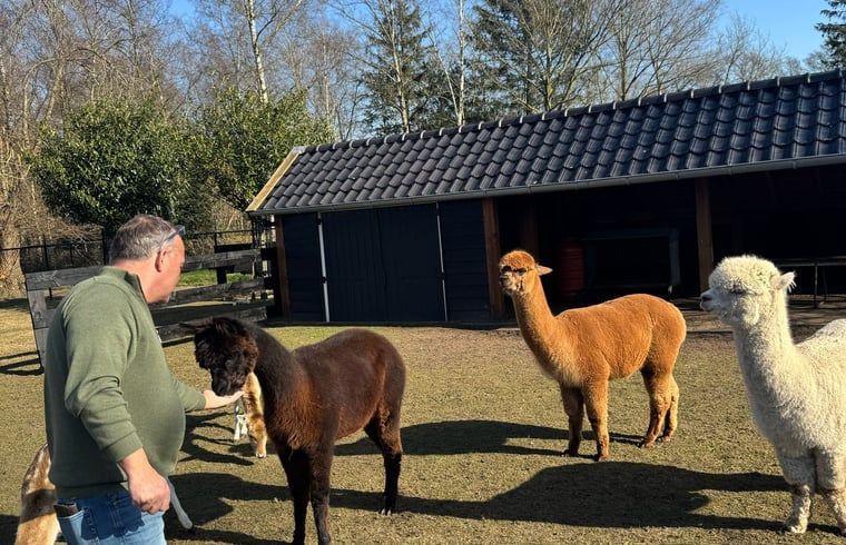 Verblijf 200106 - Vakantiewoning Zuidwest Drenthe - Vakantiehuisje in Fluitenberg