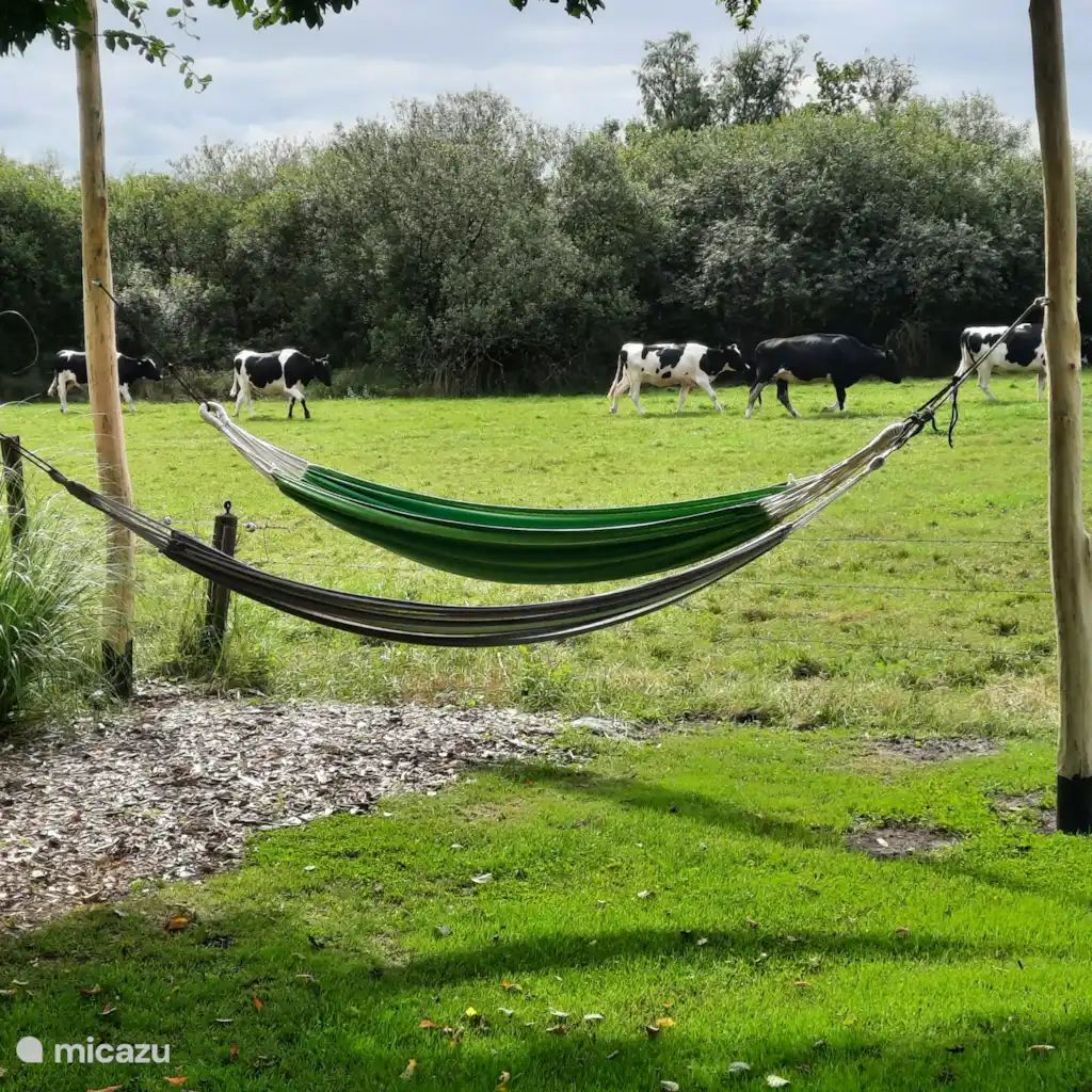 Verblijf 200108 - Vakantiewoning Zuidwest Drenthe - Boerenlodge 't Vennetje