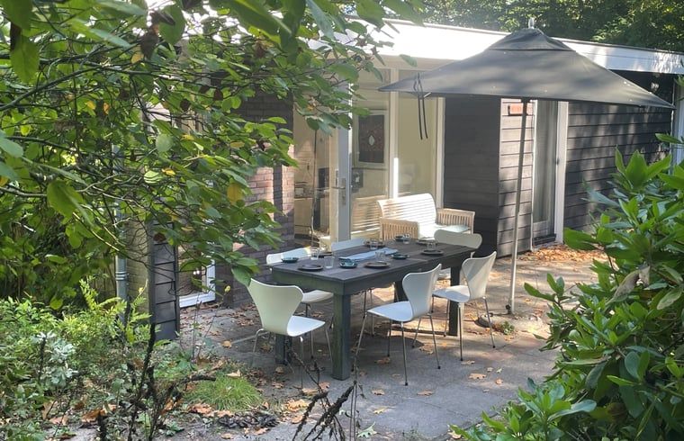 Gezellige terras van Vakantiehuisje in Doldersum, Zuidwest Drenthe, omgeven door groen en uitgerust met een ruime eettafel en parasol.