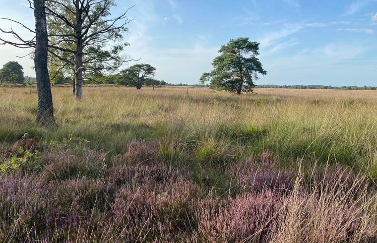 Verblijf 200221 - Vakantiewoning Zuidwest Drenthe - Vakantiehuisje in Doldersum