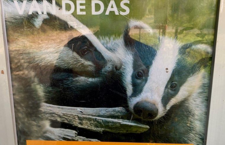 Verblijf 200221 - Vakantiewoning Zuidwest Drenthe - Vakantiehuisje in Doldersum