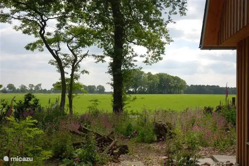 Unterkunft 200226 - Ferienhaus Zuidwest Drenthe - De Meerkol