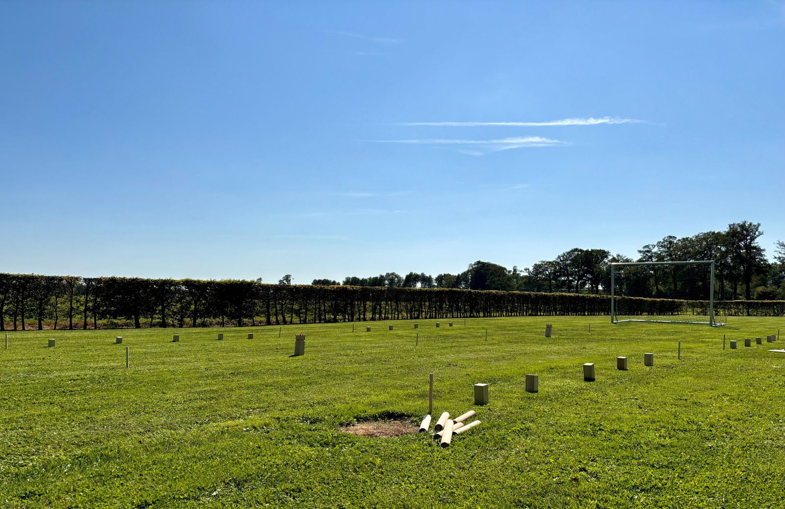Essecke im Ferienhaus DG1706, Havelte, Drenthe mit bunten Stuehlen und Blumen.