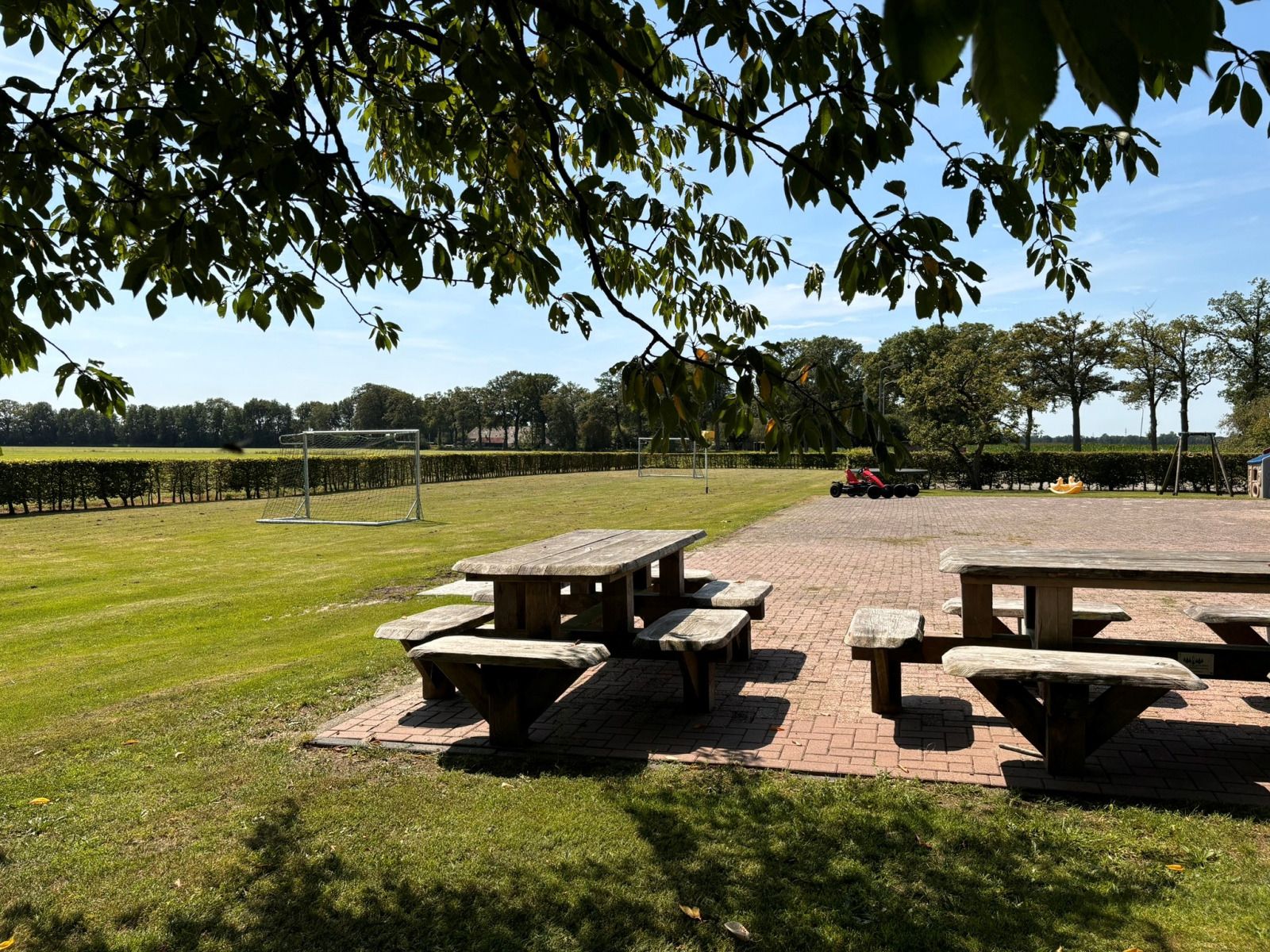 Grosser Garten des Ferienhauses DG1706 in Havelte, Drenthe, mit schattigen Baeumen.