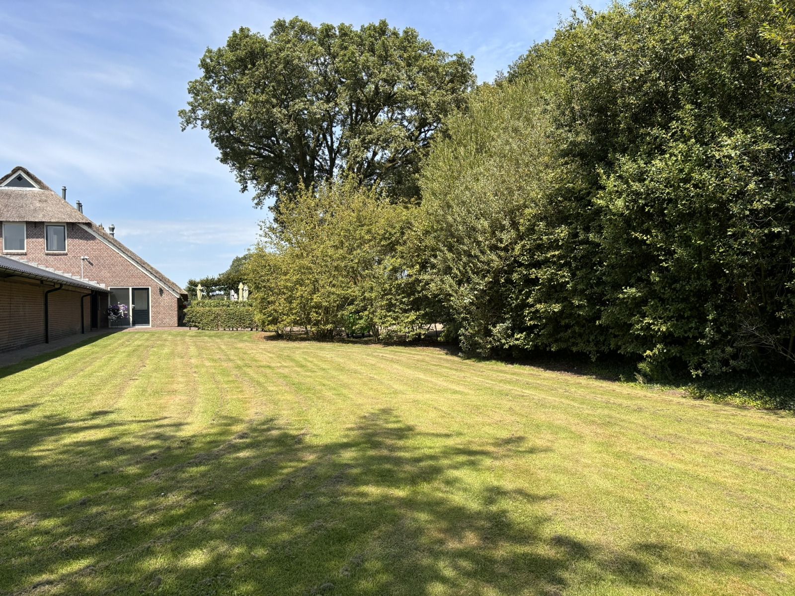 Wohnzimmer und Essbereich im Ferienhaus DG1706, Havelte, Drenthe mit farbenfroher Einrichtung.