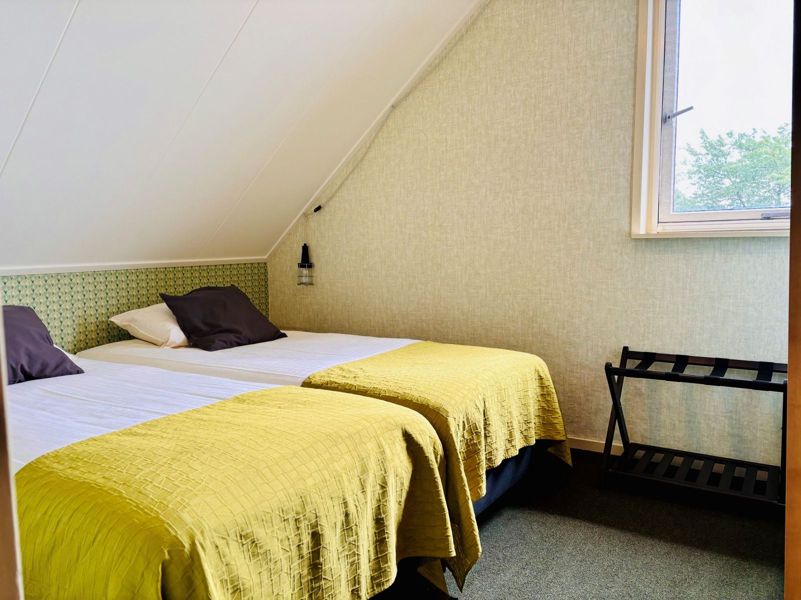 Guest house 200317 - Holiday property Zuidwest Drenthe - DG1707