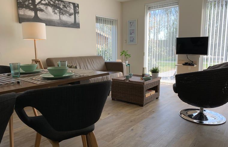 Gemuetliches Wohnzimmer des Ferienhauses in Havelte, Ferienhaus im Suedwesten von Drenthe, mit moderner Einrichtung und Blick auf den gruenen Garten.