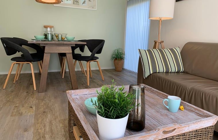 Gemuetliches Wohnzimmer des Ferienhauses in Havelte, Ferienhaus im Suedwesten von Drenthe, mit stilvoller Einrichtung und viel Tageslicht.