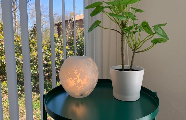 Unterkunft 200321 - Ferienhaus Zuidwest Drenthe - Huisje in Havelte