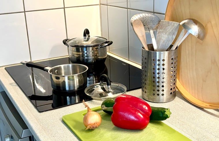 Unterkunft 200321 - Ferienhaus Zuidwest Drenthe - Huisje in Havelte