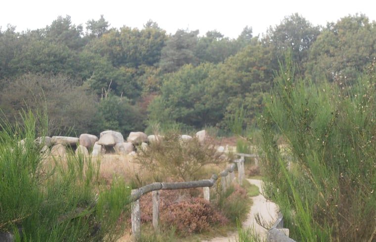 Unterkunft 200321 - Ferienhaus Zuidwest Drenthe - Huisje in Havelte