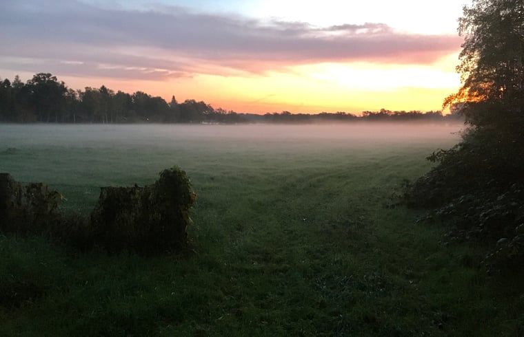 Unterkunft 200321 - Ferienhaus Zuidwest Drenthe - Huisje in Havelte