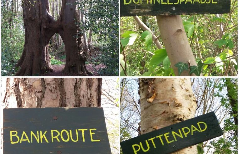 Unterkunft 200321 - Ferienhaus Zuidwest Drenthe - Huisje in Havelte