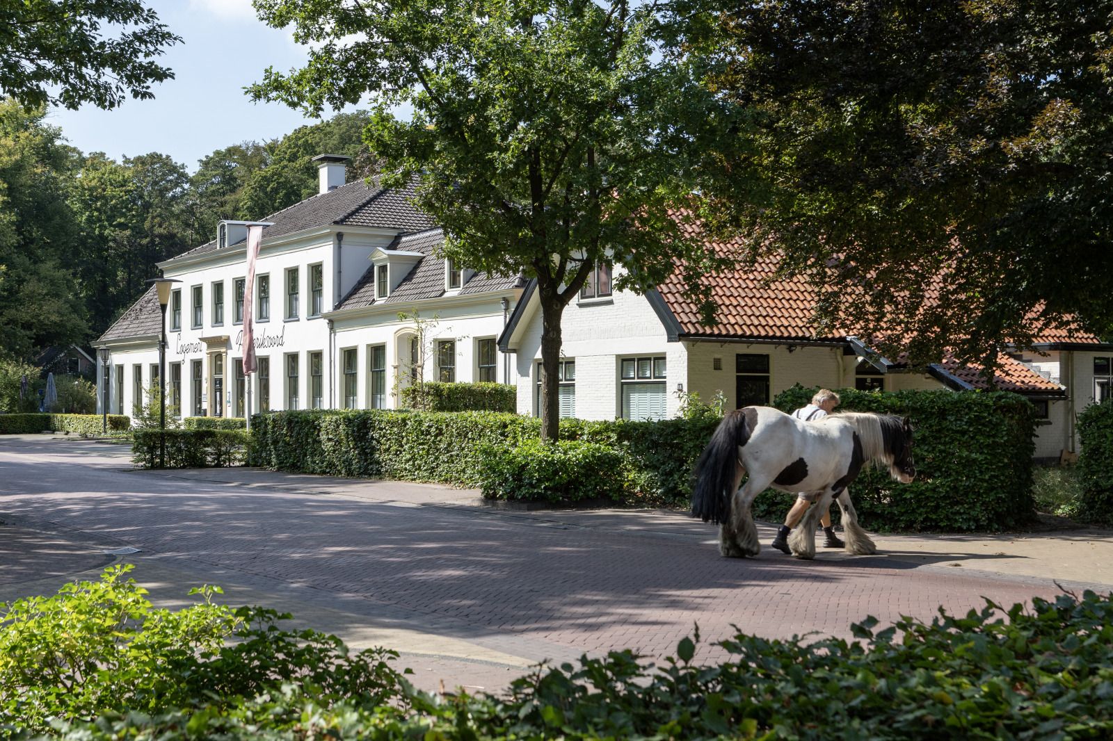 Unterkunft 200419 - Ferienhaus Zuidwest Drenthe - DG1935