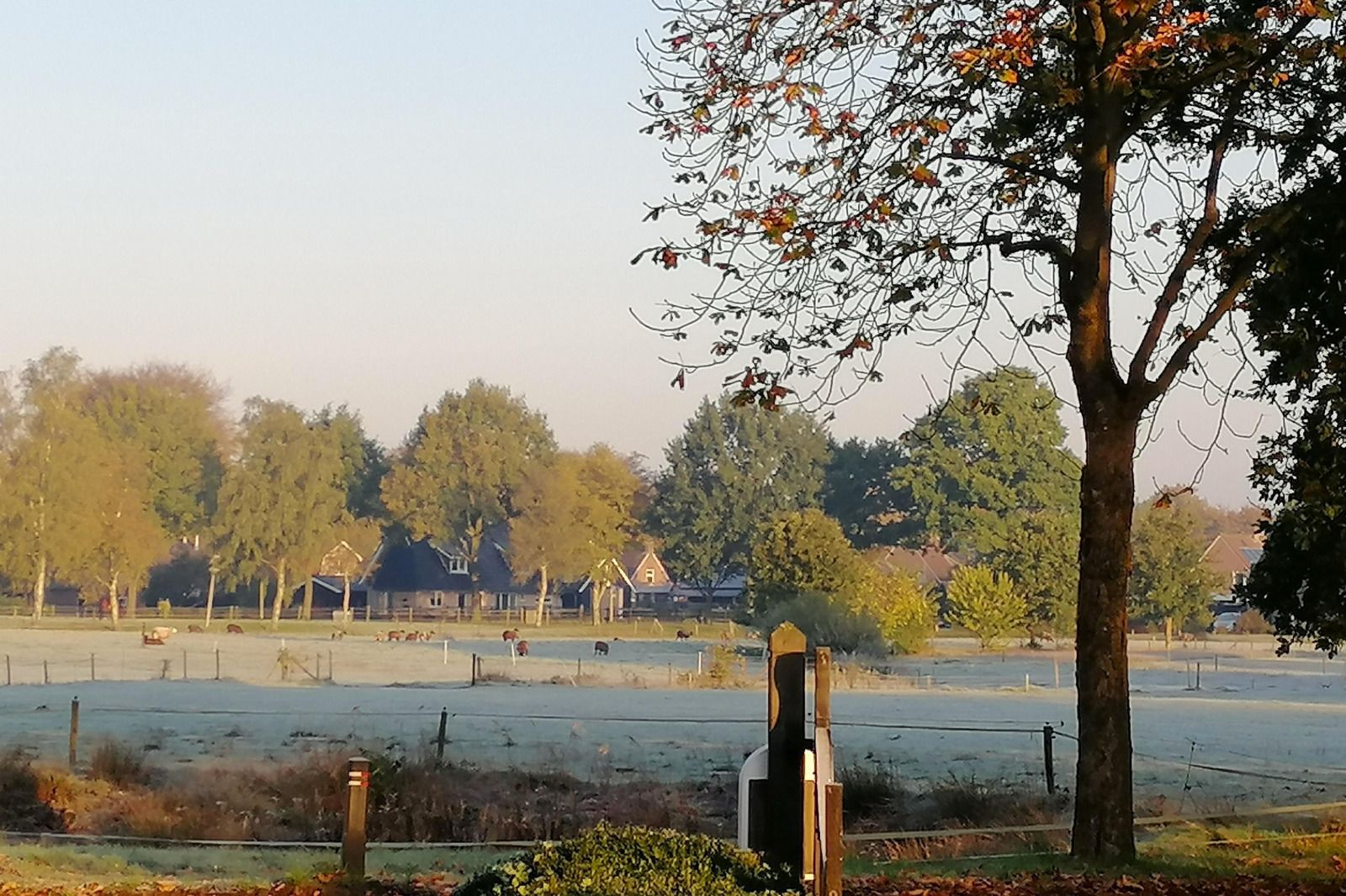 Unterkunft 200427 - Ferienhaus Zuidwest Drenthe - DG2052