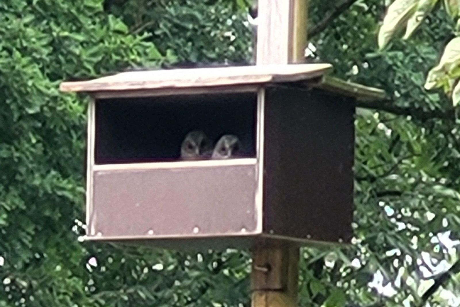 Unterkunft 200427 - Ferienhaus Zuidwest Drenthe - DG2052