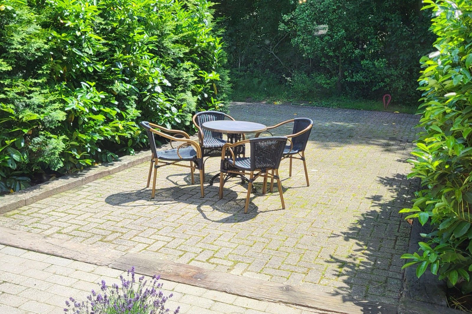 Unterkunft 200427 - Ferienhaus Zuidwest Drenthe - DG2052