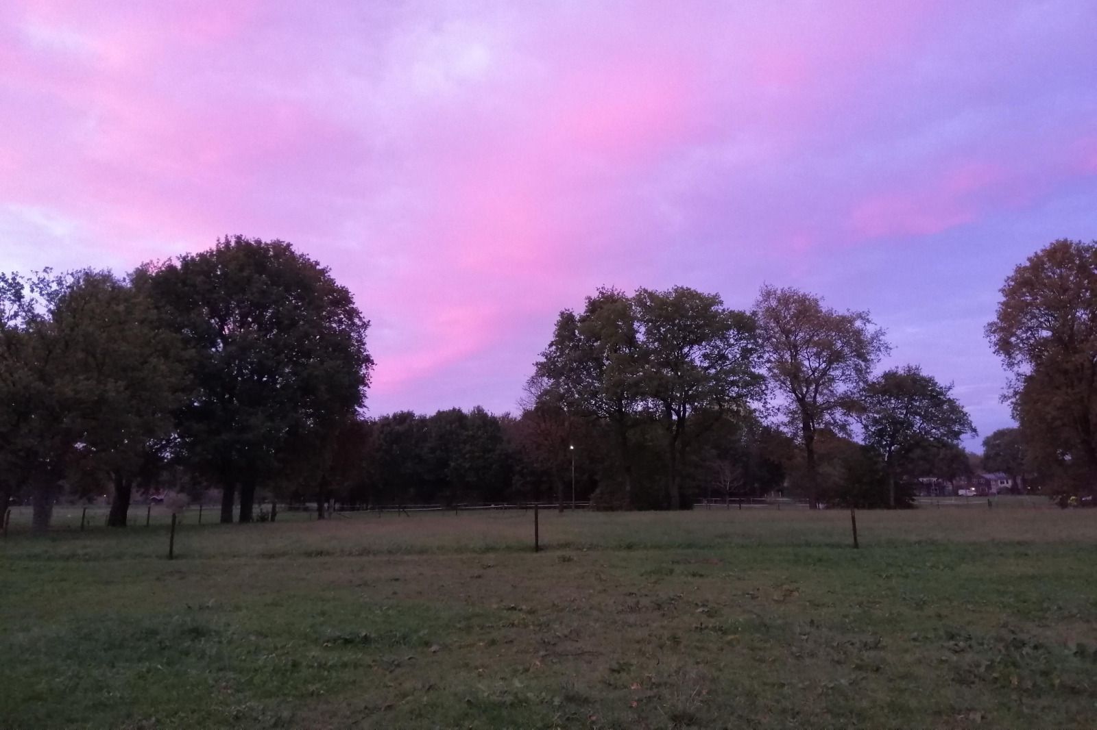 Unterkunft 200427 - Ferienhaus Zuidwest Drenthe - DG2052