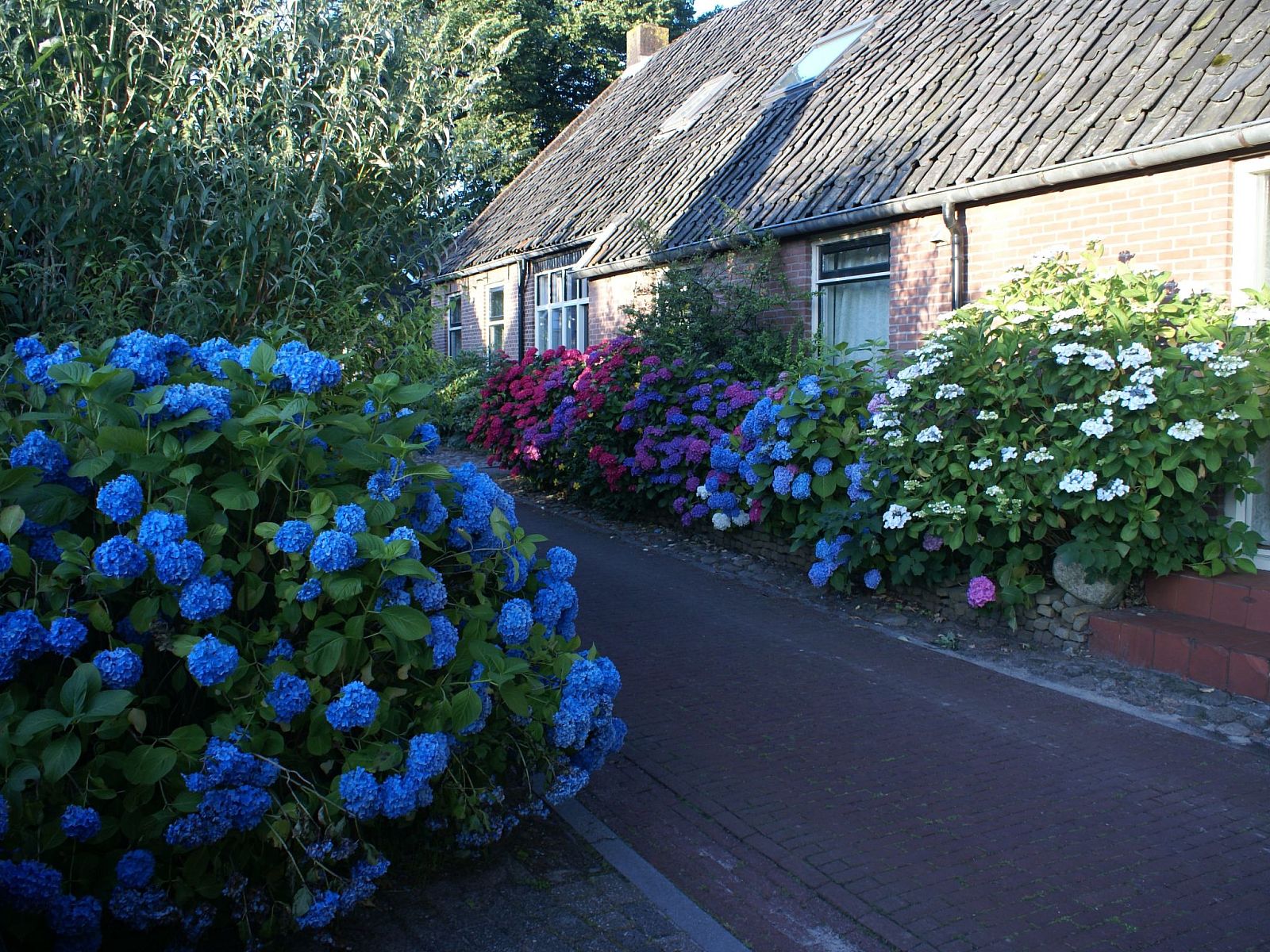 Verblijf 200429 - Vakantiewoning Zuidwest Drenthe - Vakantiehuis Geschmackvoll eingerichtetes Bauernhaus aus dem