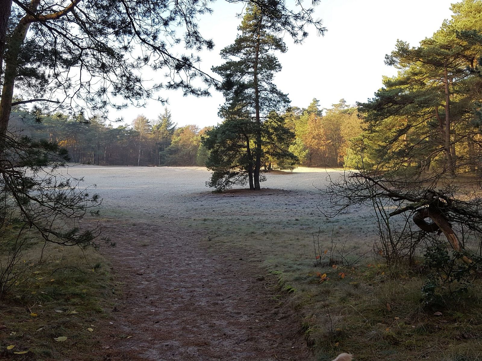 Verblijf 200429 - Vakantiewoning Zuidwest Drenthe - Vakantiehuis Geschmackvoll eingerichtetes Bauernhaus aus dem