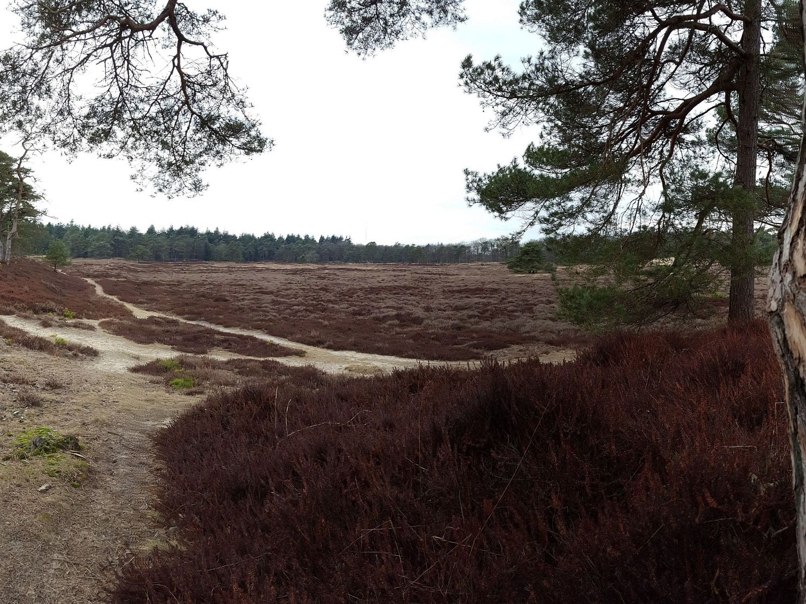 Verblijf 200429 - Vakantiewoning Zuidwest Drenthe - Vakantiehuis Geschmackvoll eingerichtetes Bauernhaus aus dem