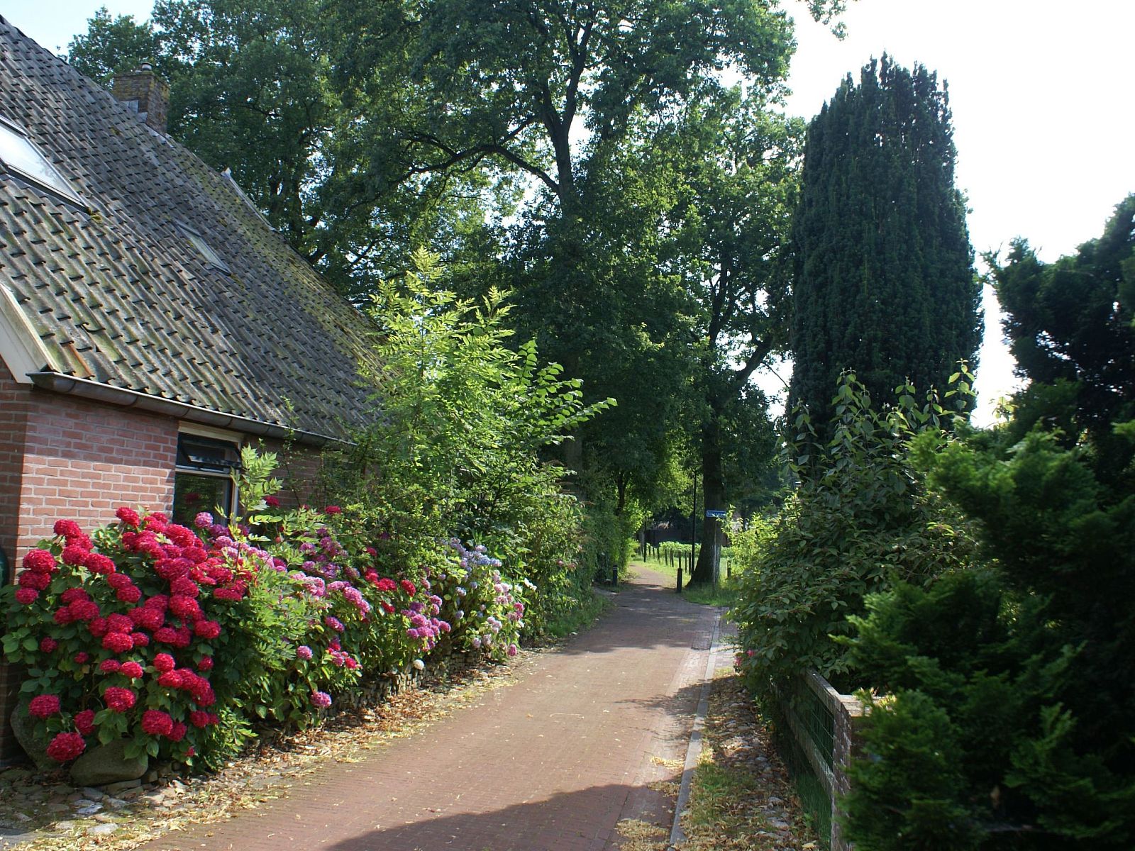 Verblijf 200429 - Vakantiewoning Zuidwest Drenthe - Vakantiehuis Geschmackvoll eingerichtetes Bauernhaus aus dem