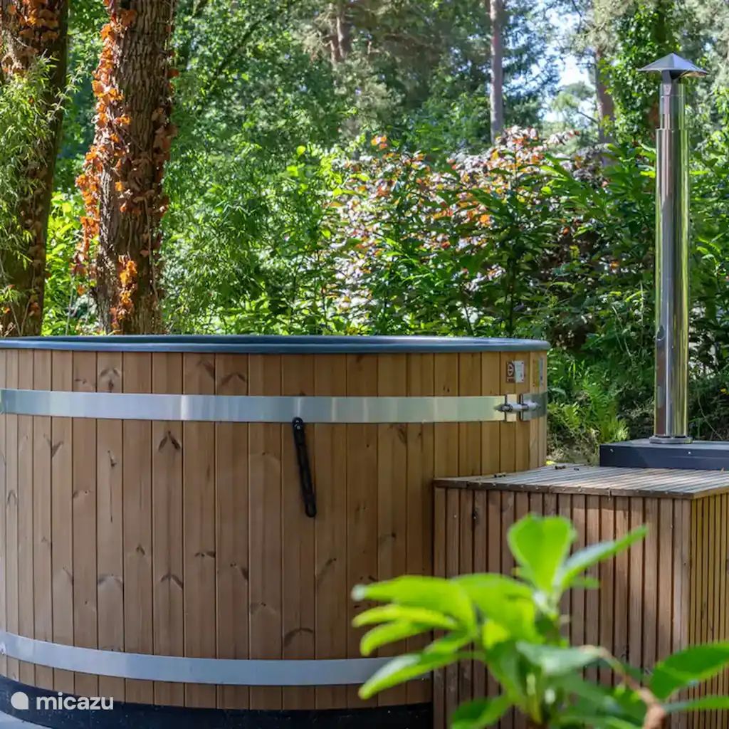 Guest house 200440 - Holiday property Zuidwest Drenthe - Mooie 4p Kota met sauna en hottub