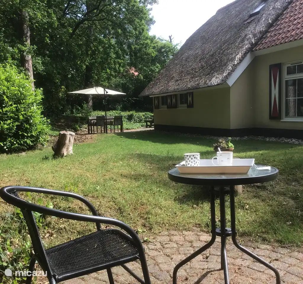 Guest house 200445 - Holiday property Zuidwest Drenthe - Hertenspoor 66  ‘t Wildryck Diever