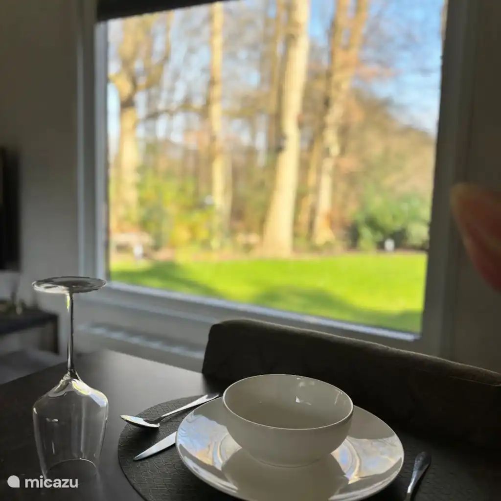 Verblijf 200458 - Chalet Zuidwest Drenthe - Boszicht  met optie  Wellness