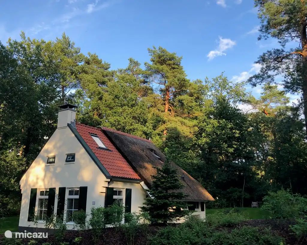 Guest house 200466 - Holiday property Zuidwest Drenthe - Het Bosryck (prijs is  All-in )