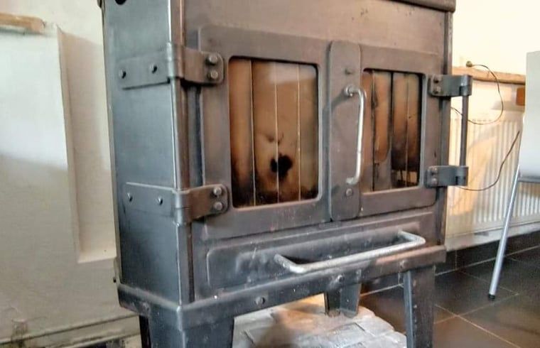 Verblijf 200510 - Vakantiewoning Zuidwest Drenthe - Huisje in Zuidwolde