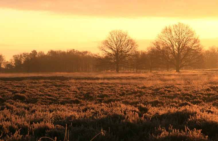 Sonnenuntergang bei Cottage in Zuidwolde, Ferienhaus in Suedwest-Drenthe, Drenthe.