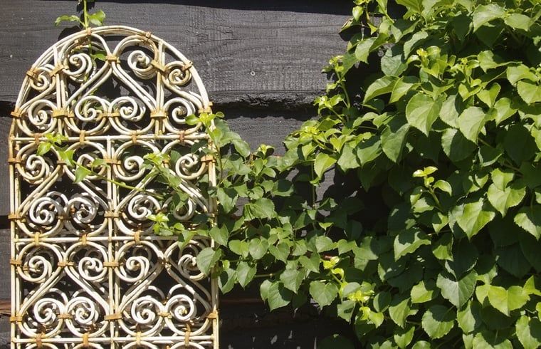 Kunstvolle Details in Cottage in Zuidwolde, Ferienhaus mit dekorativen Elementen, Suedwest-Drenthe, Drenthe.