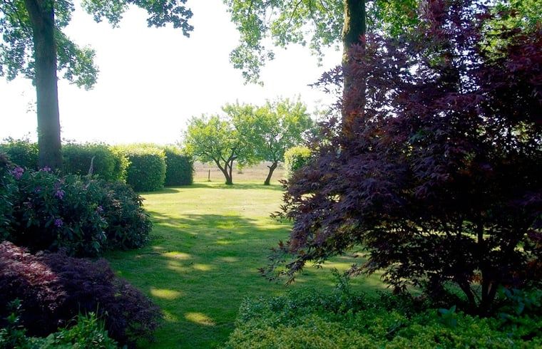 Garten von Cottage in Zuidwolde, Ferienhaus mit gruener Umgebung, Suedwest-Drenthe, Drenthe.