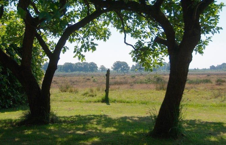 Blick auf die Landschaft vom Cottage in Zuidwolde, Ferienhaus in Sued-West Drenthe, Drenthe.