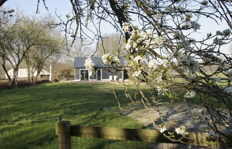 Verblijf 200515 - Vakantiewoning Zuidwest Drenthe - Vakantiehuis in Zuidwolde