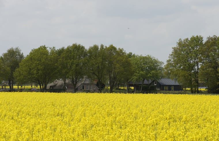 Verblijf 200515 - Vakantiewoning Zuidwest Drenthe - Vakantiehuis in Zuidwolde