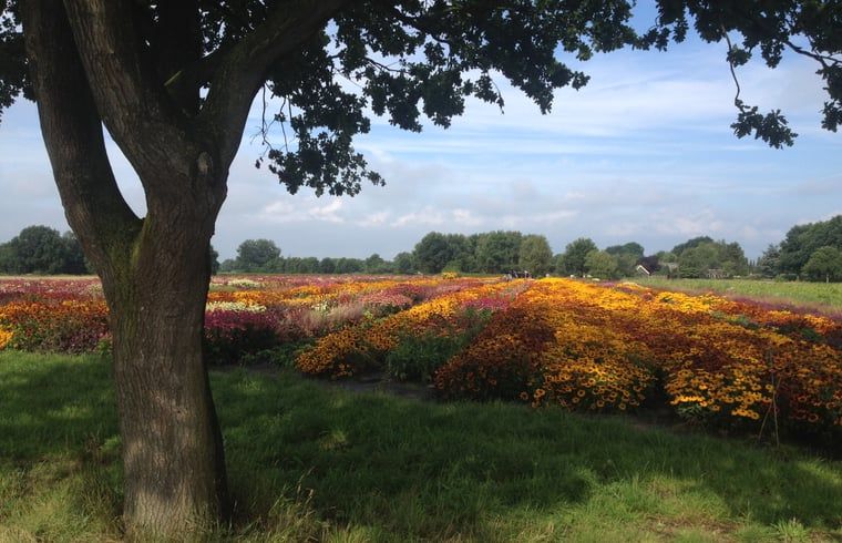 Verblijf 200515 - Vakantiewoning Zuidwest Drenthe - Vakantiehuis in Zuidwolde