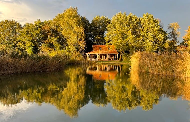 Vakantiehuisje in Zuidwolde omgeven door bomen en een serene vijver in Zuidwest Drenthe