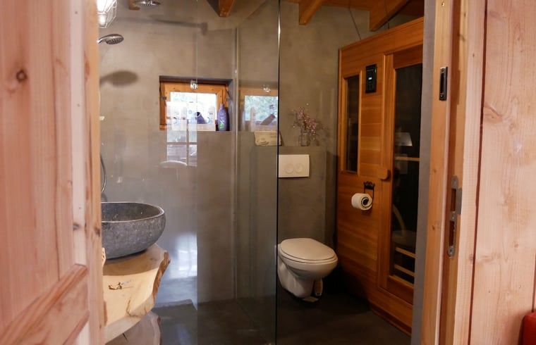 Moderne badkamer met glazen douche in Vakantiehuisje in Zuidwolde, Drenthe