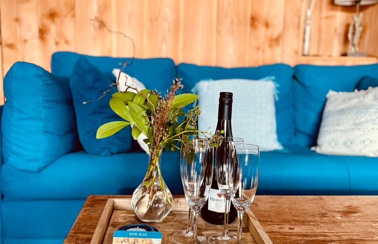 Gezellige zithoek met blauwe bank in Vakantiehuisje in Zuidwolde, Drenthe