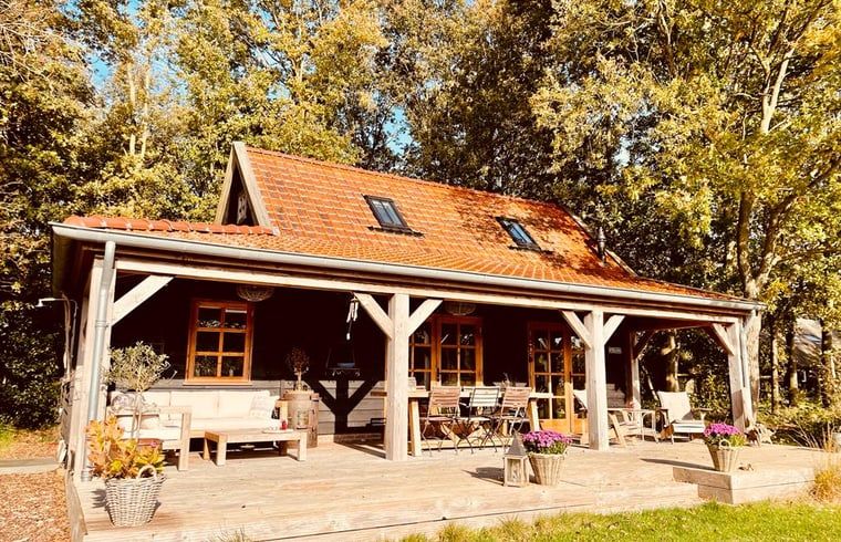 Ruime veranda met zitgelegenheid in Vakantiehuisje in Zuidwolde, Zuidwest Drenthe