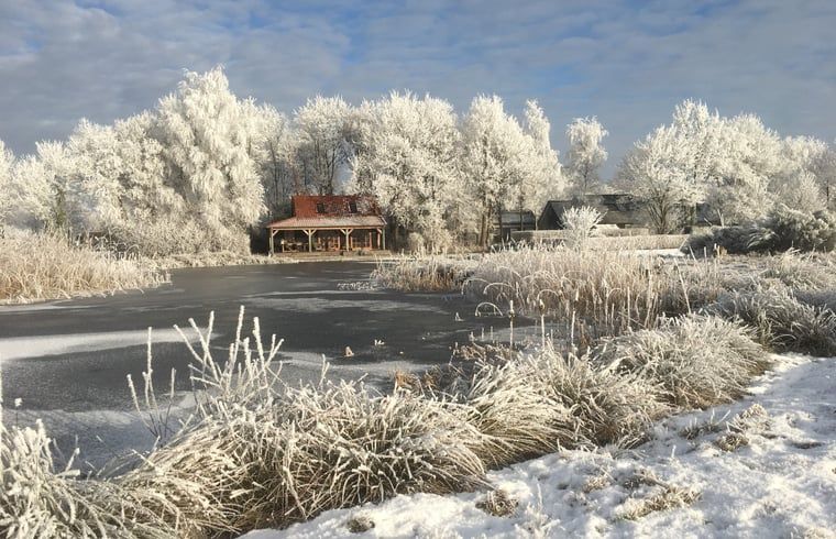 Winterwonderland om Vakantiehuisje in Zuidwolde, Zuidwest Drenthe