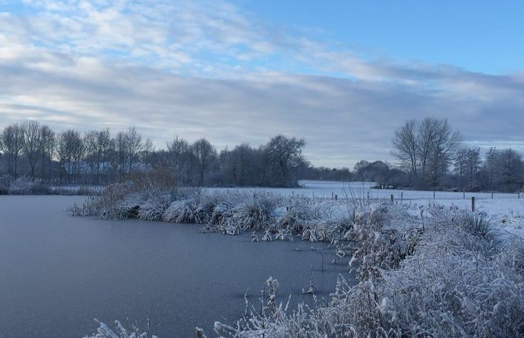 Besneeuwd landschap bij Vakantiehuisje in Zuidwolde, Drenthe