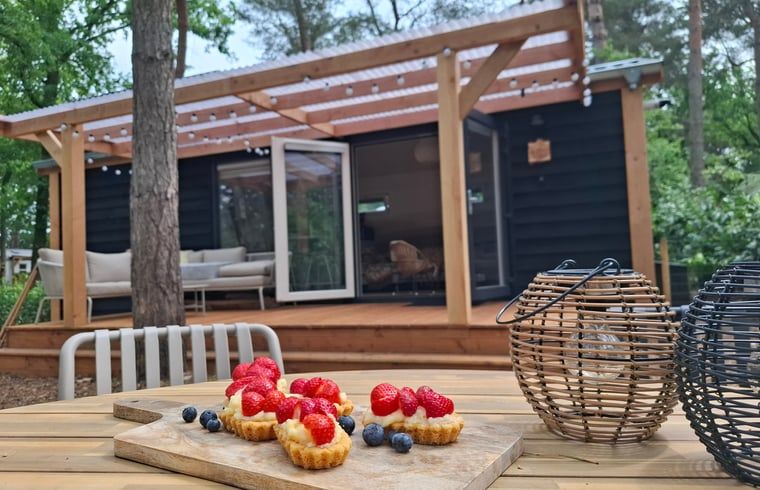 Unterkunft 200517 - Ferienhaus Zuidwest Drenthe - Vakantiehuis in Zuidwolde