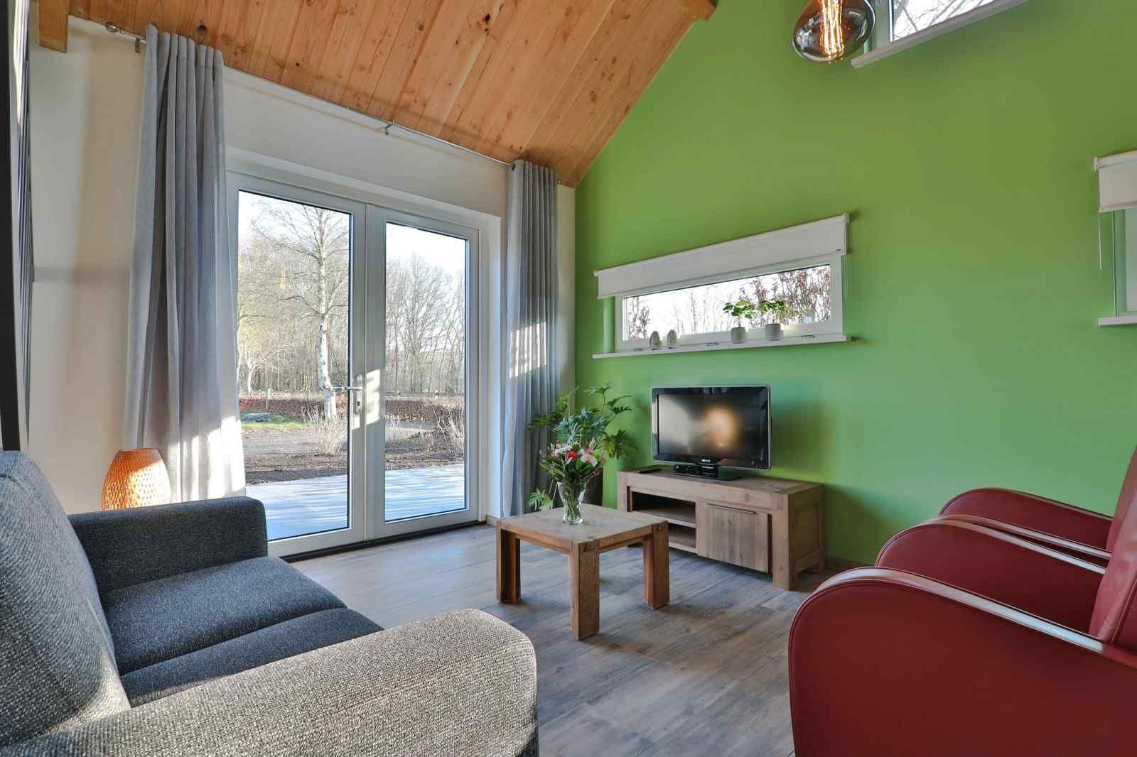 Bright living room in DG1415, vacation home in Zuidwolde, with green walls.