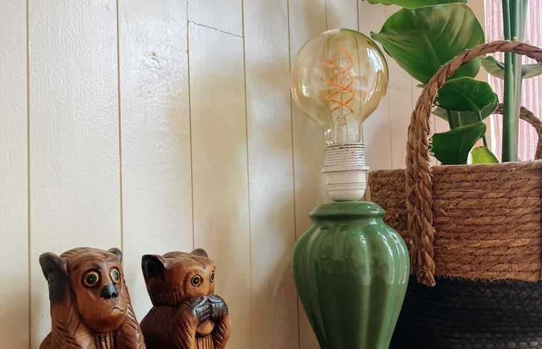 Unterkunft 200520 - Ferienhaus Zuidwest Drenthe - Huisje in Zuidwolde